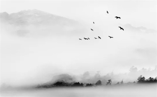 2026年1月份适合破土的日子