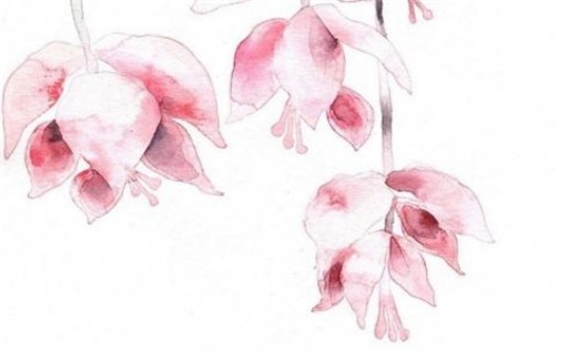 今日是否适合破土,2027年3月25日黄历宜忌分析