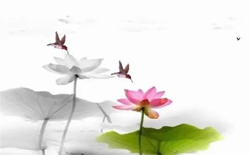 黄历2028年5月21日动土推荐吗