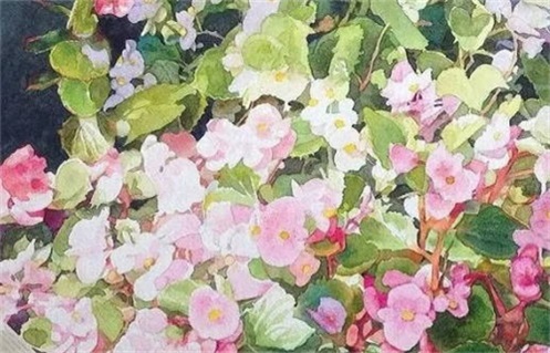 今日2027年11月4日破土老黄历适宜吗,农历2027年十月初七动土日子