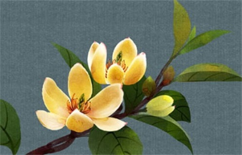 2029年2月24日推荐动土吗,动土吉日查询