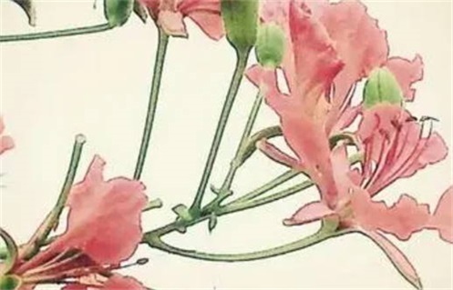 2027年5月1日适合动土吗,动土是好日子吗