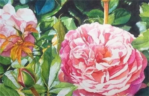 今日2027年7月22日破土老黄历适合吗,农历2027年六月十九动土日子