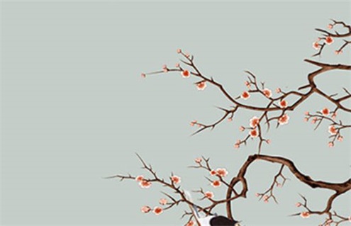 今天2029年11月5日开工老黄历适宜吗,农历2029年九月廿九动土日子