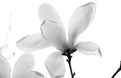 今日农历2025年腊月初四黄历兴工适宜吗,动土吉日