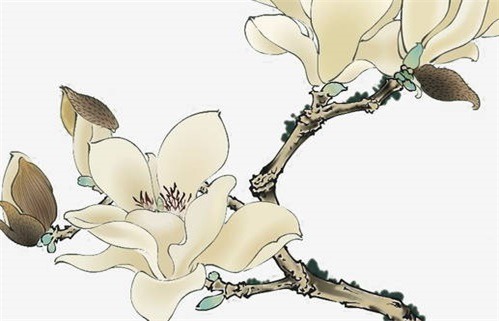 今日是否适合动土,2028年3月6日黄历宜忌分析