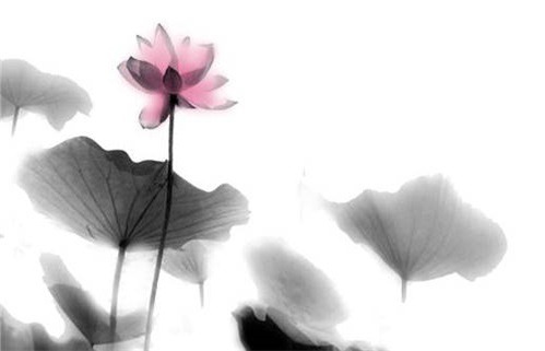 农历2026年八月十九黄历开工建设适合吗,这天动土合适吗