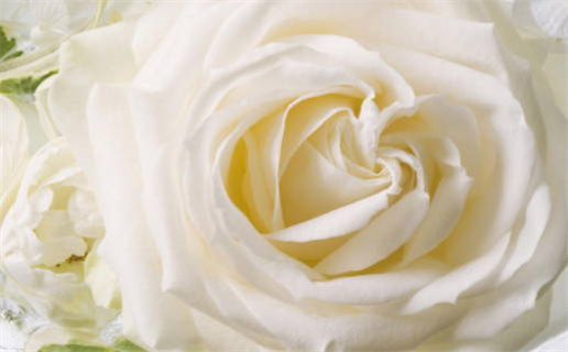 2027年6月5日老黄历适合嫁娶吗