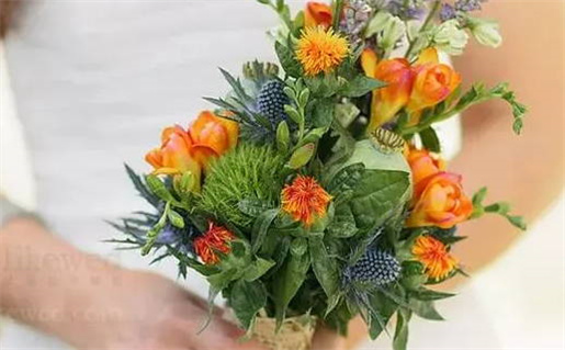 今天2026年11月10日适不适合完婚,结婚黄历吉日分析