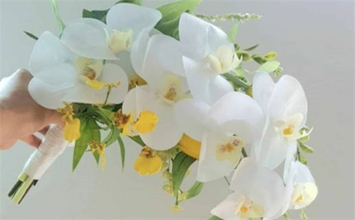 今天2027年8月27日适不适合嫁娶,结婚黄历吉日分析