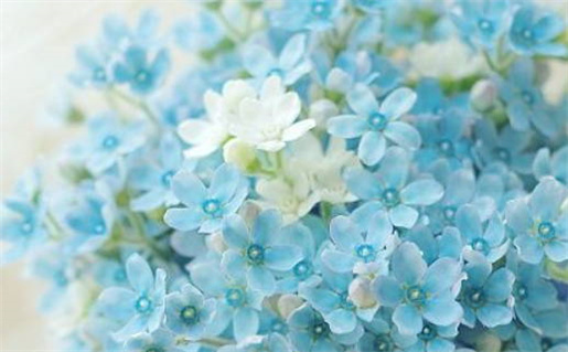 今天是否适宜嫁娶,2026年3月15日黄历宜忌分析