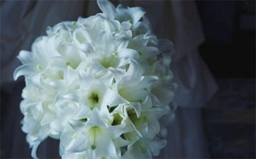 2029年3月4日适合办证吗,领证是好日子吗