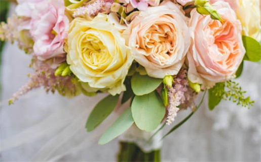 黄历2026年7月24日领证推荐吗