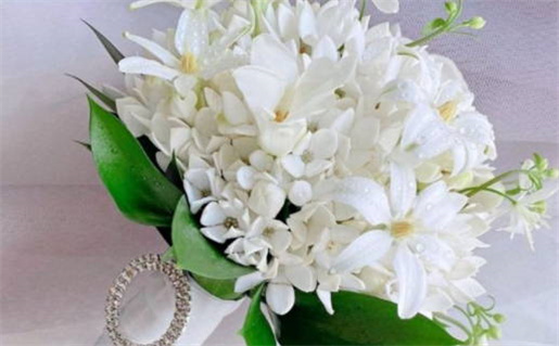 农历2026年八月二十黄历：今天适宜办证吗