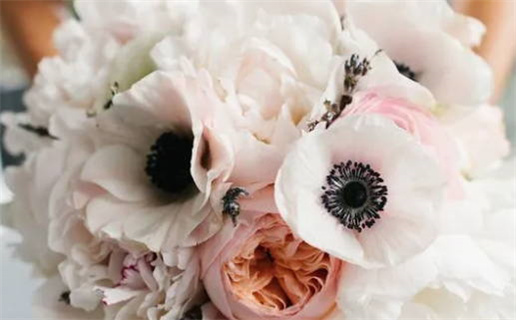 2026年1月领证的最佳日期 领证的好日子