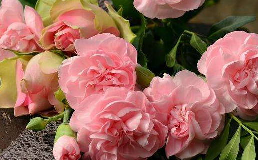 今日2032年1月29日万年历婚姻登记吉日查询,领证是好日子吗