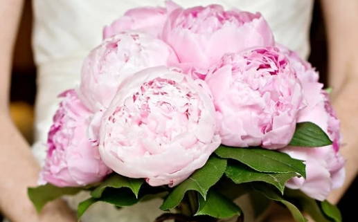 今天2028年12月26日适不适合婚姻登记,领证黄历吉日分析