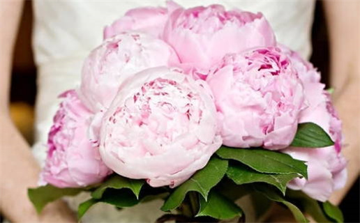 今天黄历2027年3月31日领证推荐指南,领证吉日查询