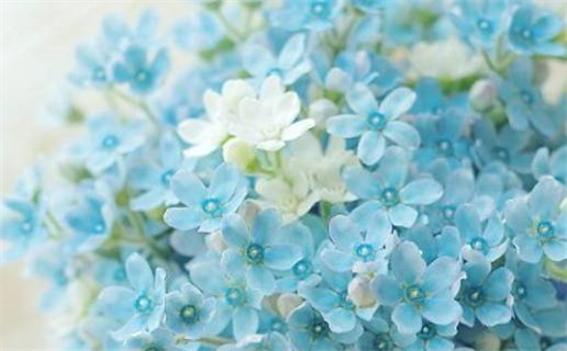 领证黄道吉日 领证黄道吉日