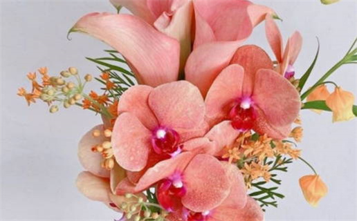 今日是否推荐婚姻登记,领证2027年8月14日黄历分析