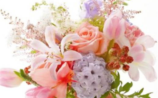 2026年11月11日适合办证吗,领证吉日查询