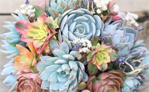 今日是否适宜领取结婚证,2027年1月4日黄历宜忌分析