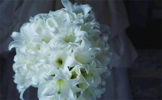 2026年1月份适合办理结婚证的日子丨哪几天适合领证