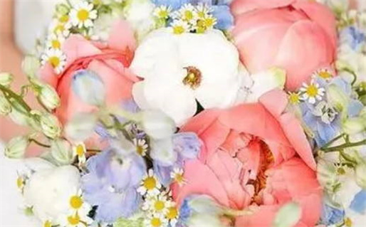 2026年公历1月领取结婚证佳期_领证的吉日