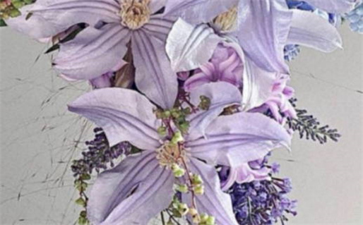 2026年1月登记结婚吉日 领证的好日子