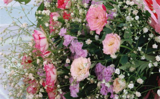 农历2026年三月初五黄历领证适宜吗,这天领证合适吗