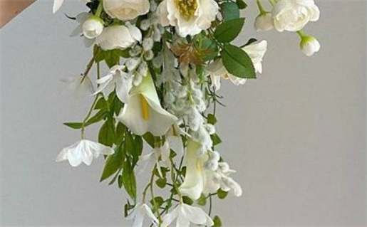 2028年11月5日适合办证吗,领证是好日子吗