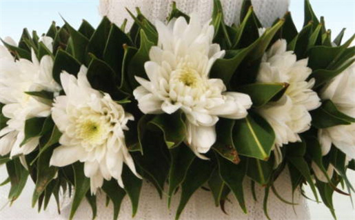 2026年1月份适合领证的佳期，领证择日