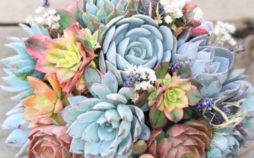 农历2028年十月廿九黄历适宜办理结婚证吗,领证好日子查询