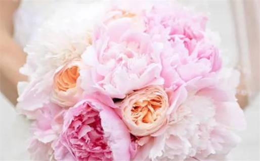 领证黄道吉日 领证黄道吉日