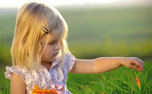 龙姓女宝宝起名必看：2025年12月15日生辰八字喜用神与取名建议