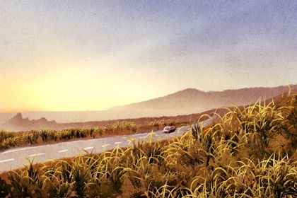 2031年8月12日适合提取新车吗,提车是好日子吗