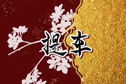 今日是否适宜提新车,提车2027年6月13日黄历分析