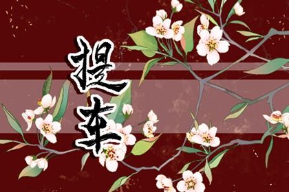 今天2028年1月19日提车老黄历适合吗,农历2027年腊月廿三提车日子