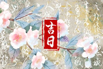 2027年5月26日适合提取爱车吗,提车是好日子吗