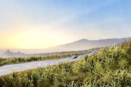 2026年1月份适合取车的日子：哪几天适合提车