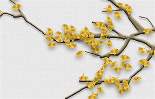 农历2028年闰五月初一黄历装饰房屋适合吗,装修吉日查询