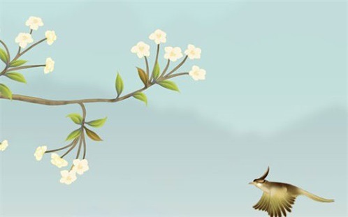 今日是否推荐家装,2028年5月16日黄历宜忌分析