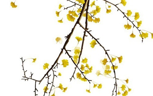 今天农历2028年四月廿三黄历家装适合吗,装修吉日